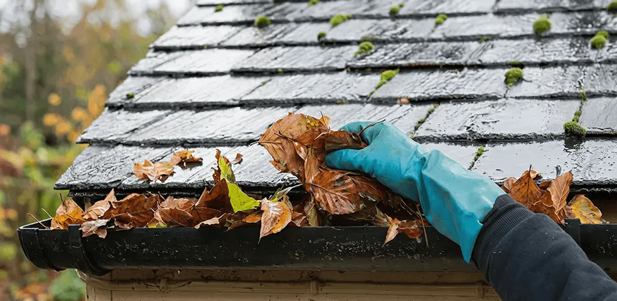 Gutter cleaning technician clearing wet leaves from roof gutters in West Palm Beach, FL